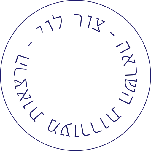 צור לוי - הרצאות מעוררות השראה